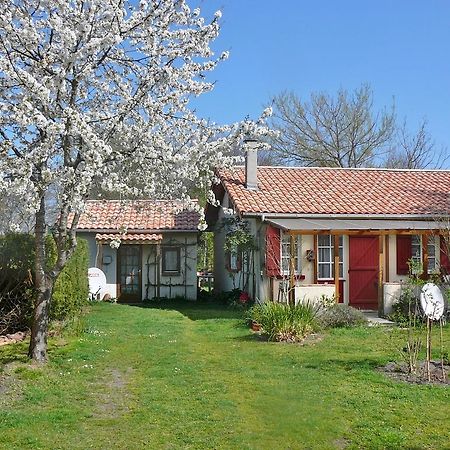 Guesthouse La Burle パランティ・アン・ボルヌ 部屋 写真